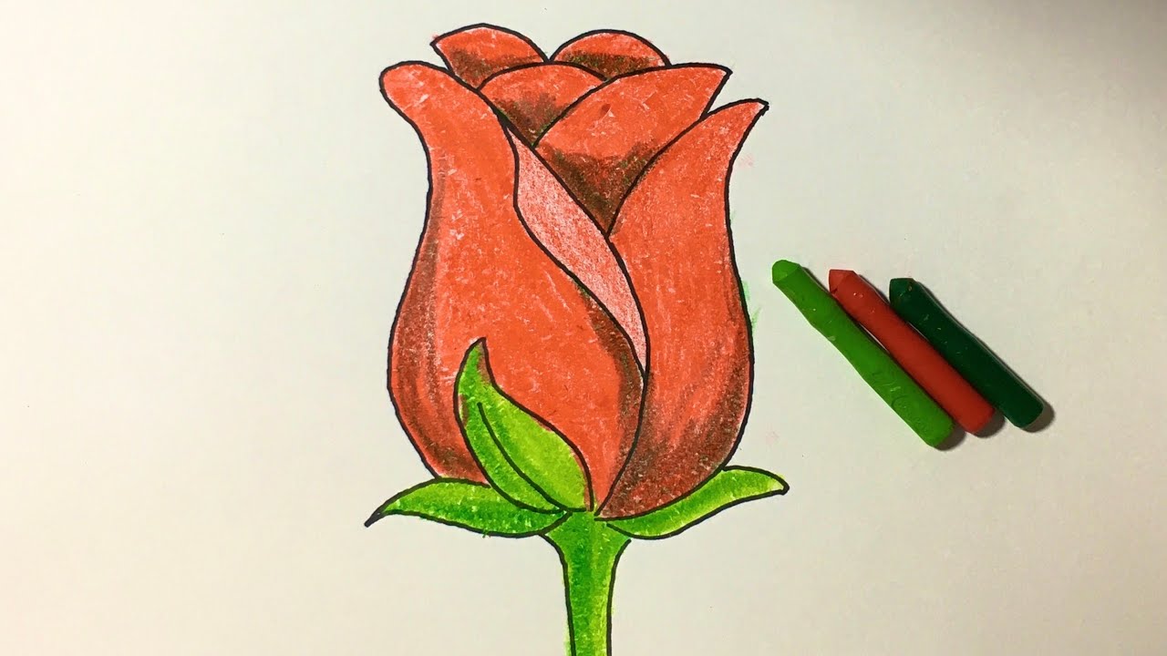 Cách Vẽ Và Tô Màu Hoa Hồng | How to draw a rose - YouTube