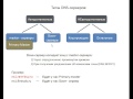 DNS-сервер с нуля. Урок 8. Типы DNS-серверов