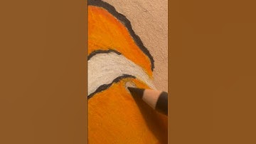 Drawing A Realistic Clownfish With Colored Pencils!🐠✏️#shorts #art #trending #drawing #animals