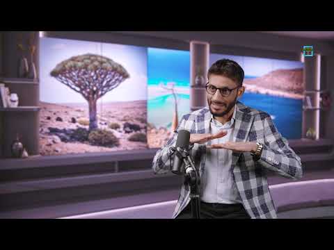 شاطىء شاعب.. موطن الدلافين والأسماك المتنوعة