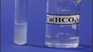 Опыты по химии. Превращение гидрокарбоната кальция в карбонат кипячением