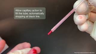 Pixotest Poct Lipid Testing - How To Use Tutorial Fingerstick