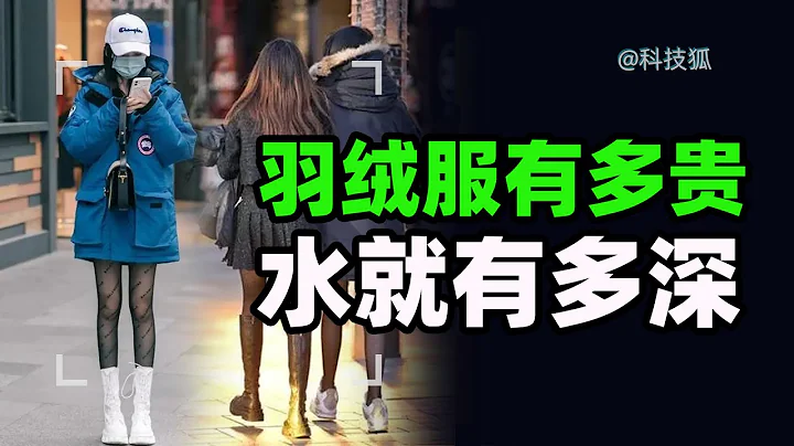 羽绒服凭什么越来越贵？年轻人已经穿不起羽绒服了【科技狐】 - 天天要闻