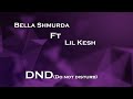 BELLA SHMURDA FT LIL KESH -DND (Lyrics Video)