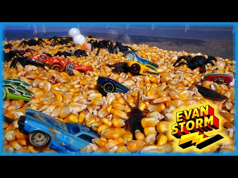 Hidden Hot Wheels Mystery Model Cars & Six Lane Raceway Competition #hotwheels