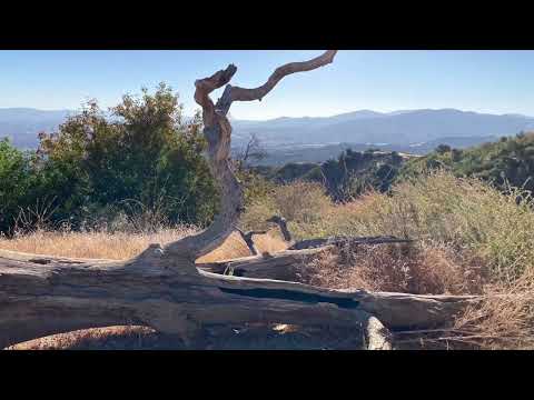 Ed Davis Park-