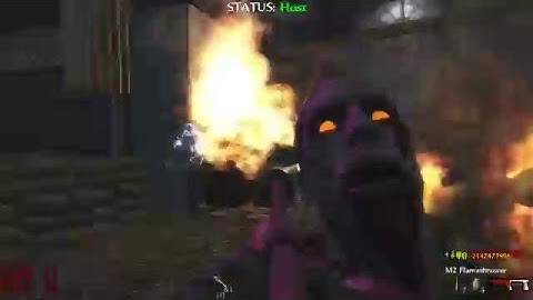 Cod waw mod menu motion flex V2