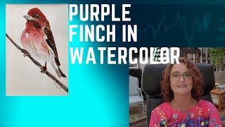 Paint A Purple Finch in Watercolor