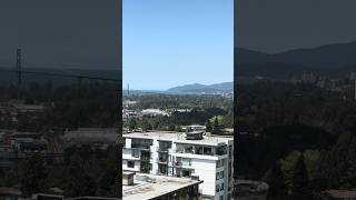 A row of trees that look super dark in shadow #view #westvancouver #trees