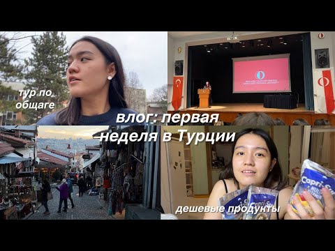 exchange в Турции: