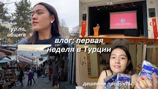 картинка: exchange в Турции: влог #1 | общежитие, ориентационная неделя, выходные в городе