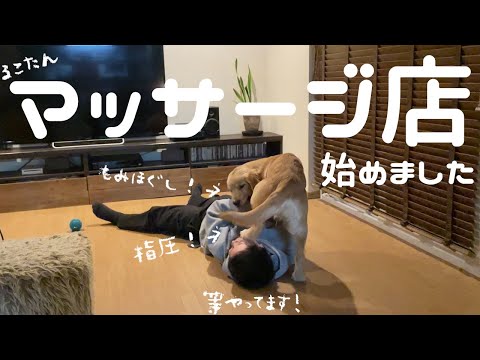 一日の疲れを根こそぎ取ってくれる大型犬専門マッサージ店です