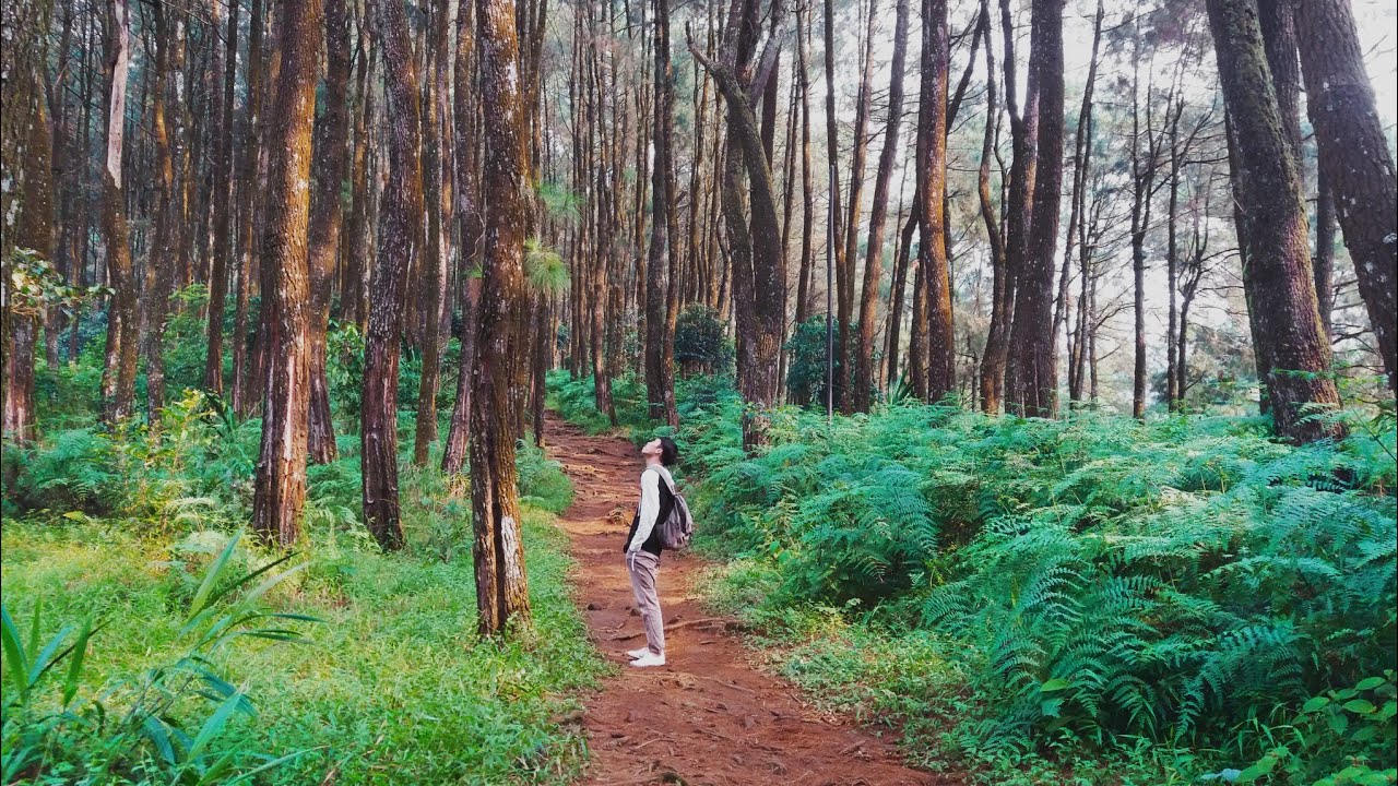 Explore Bogor_ Destinasi wisata Curug ciampea - YouTube