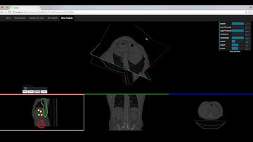 DICOM 3D Medical Image Modeling (DMIM)