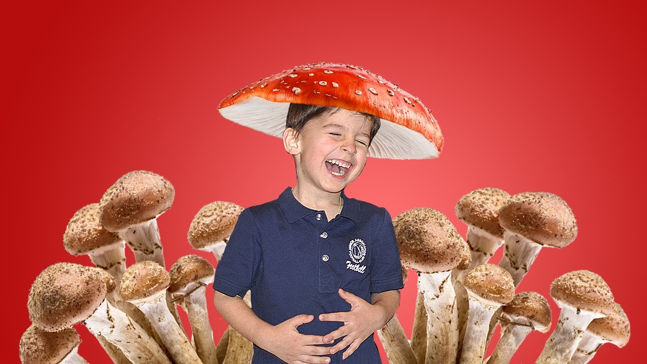 С какого возраста давать детям грибы