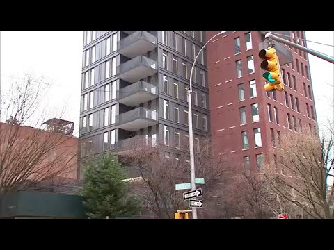 Mystery shrieking noise