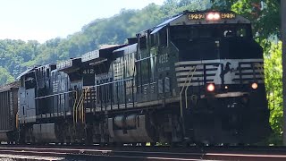 NS 4292 Leads 590 w/ Horn Salute, Wave, & Top Gon Through Tarentum, PA | 5-19-24