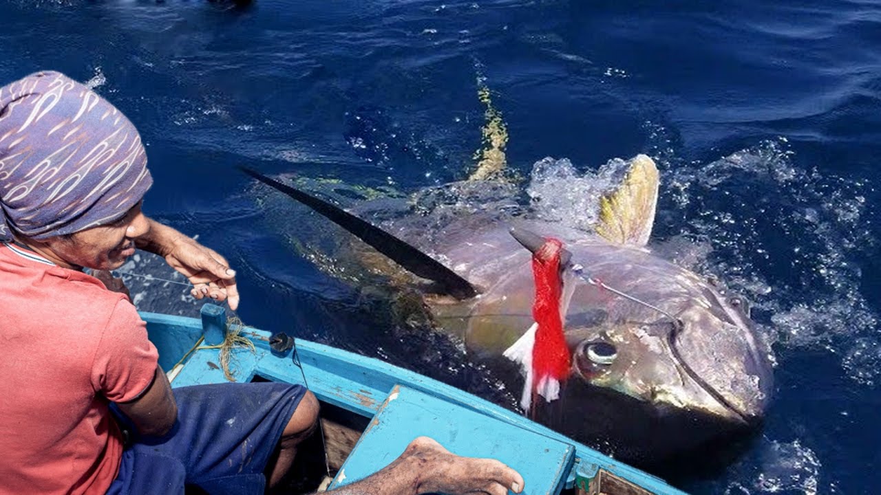 How to Handline Fishing tuna - Fishermen Catching Giant Tuna on The Sea 