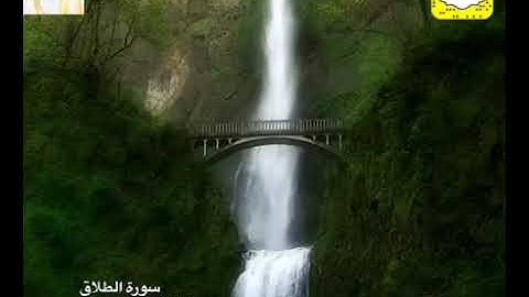 سورة الطلاق برواية دوري أبي عمرو للقارئ الحارث الصالح وفقه الله ١٤٤١هـ