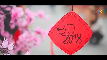 [FFC] TẾT SUM VẦY - Vũ Công Nghĩa