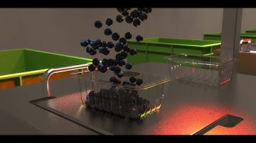 Miweigh Intelligent Weighing System Raspberry Packing with Revolution tray sealer