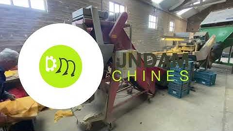 Sorting line for potatoes and onions Keulmac, Schouten Trio, Delignie