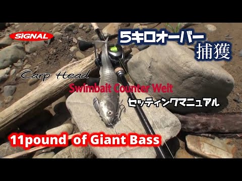 5キロオーバー捕獲動画 スイムベイトカウンターウェイト取説＆カープ