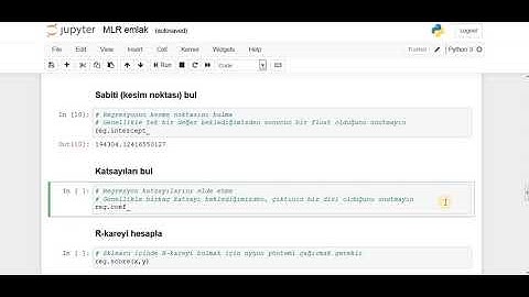 Python ile Makine Öğrenmesi: Çoklu Doğrusal Regresyon