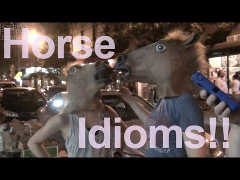 Horse Idioms!  American English Pronunciation