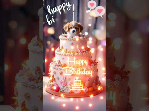 Puppy 💖Dog Happy birthday to you song 💖 light deco #Puppybirthday #Dogbirthdaycake #birthday #생일