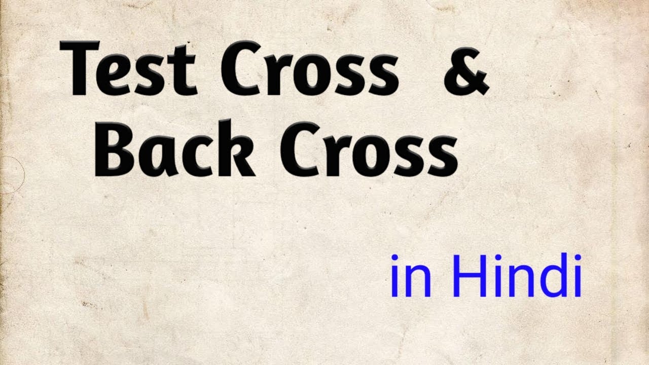 TEST CROSS BACK CROSS In HINDI YouTube test-cross-back-cross-in-hindi-youtube