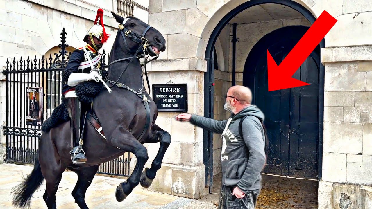 King’s Guard WARNS them twice, Disrespectful \u0026 OUTRAGEOUS STUPIDITY when they visit at horse guards