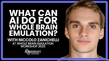 Niccolò Zanichelli | What can AI do for Whole Brain Emulation @ Whole Brain Emulation Workshop 2023