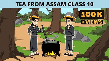 Tea from Assam class 10 animation class 10 Tea from Assam Glimpses of India tea from Assam animated