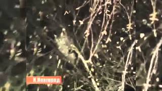 Русский Хэнкок кривые руки! Трейлер 2014! Спасение кота! Рукожоп 90 лвл! Русский Хэнкок кривые руки! Трейлер 2014! Спасение кота! Рукожоп 90 лвл!