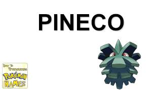 204 - PINECO 204 - PINECO