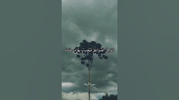 هُوَ الَّذِي يُرِيكُمُ الْبَرْقَ خَوْفًا وَطَمَعًا || سورة الرعد || علي جابر