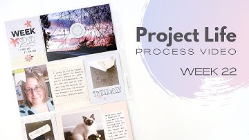 Project Life Process Video // Week 22, 2023 // Studio Calico