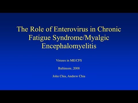 Dr John Chia: The Role of Enterovirus in ME/CFS, Symposium on Viruses in CFS