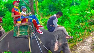 عمو صابر يركب على الفيل  -  amo saber mounting an elephant