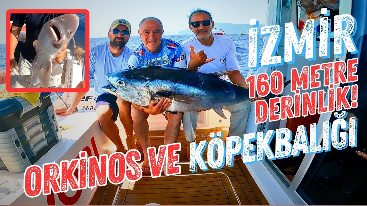 İzmir Açıklarında 160 Metrede Orkinos ve Köpekbalığı Avı! 🎣