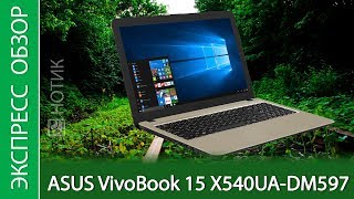 Экспресс-обзор ноутбука ASUS VivoBook 15 X540UA-DM597