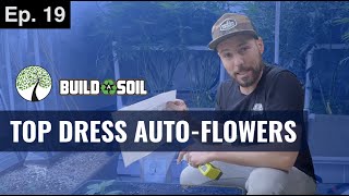 BuildASoil: TOP DRESSING AUTO-FLOWERS IN EARTH BOXES (Season 4, Episode 19)