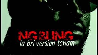 ng bling la bri version tcham album