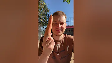 Меня преследует Тапир