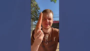 Меня преследует Тапир