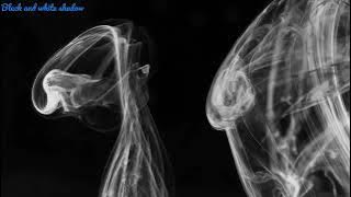 Black shadow ink in water | black ink | how to fill black ink | 4k video