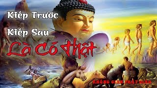 Bạn Muốn biết KIẾP TRƯỚC và KIẾP SAU mình là ai là người như thế nào hãy xem video này rất hay