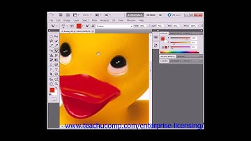 Photoshop CS6 Tutorial Moving the Image Adobe Training