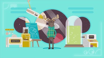 Miss Moose Explainer video